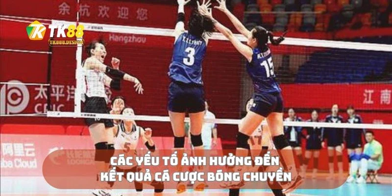 Cá Cược Bóng Chuyền Cách Chọn Kèo Và Chiến Thắng Dễ Dàng 2 Các yếu tố ảnh hưởng đến kết quả cá cược bóng chuyền