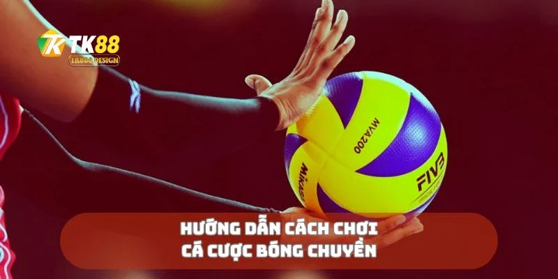Cá Cược Bóng Chuyền Cách Chọn Kèo Và Chiến Thắng Dễ Dàng 1 Hướng dẫn cách chơi cá cược bóng chuyền