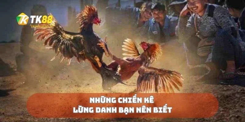 Đá Gà Siêu Tốc - Tốc Độ Ánh Sáng Trong Từng Pha Đá 3 Những chiến kê lừng danh bạn nên biết
