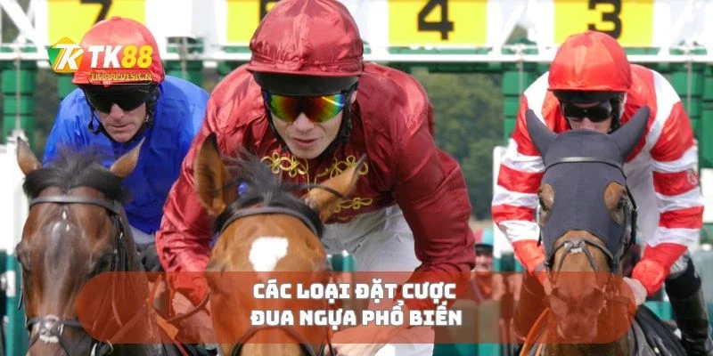 Đặt Cược Đua Ngựa Chiến Lược Thắng Cược Cho Người Chơi Mới 2 Các loại đặt cược đua ngựa phổ biến
